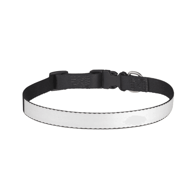 Collar Mascota